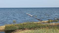Sylt (78)